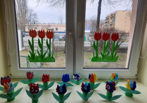 Nasze tulipany