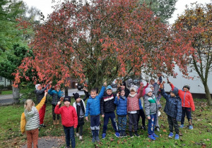 Dzieci poznają różne rodzaje drzew