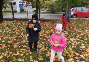 Dzieci zbierają jesienne liście