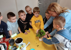 Przedszkolaki podczas sadzenia roślin