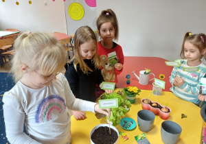 Przedszkolaki podczas sadzenia roślin