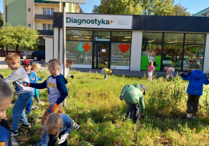 Tęczowa Akademia podczas sprzątania Świata