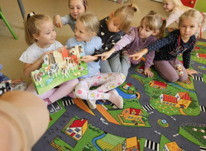 Światowy Dzień Zwierząt