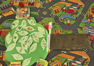 Nasze drzewo różnorodności