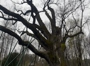 Wycieczka naszych uczniów w Góry Świętokrzyskie