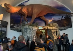 Uczniowie zwiedzają muzeum przyrodnicze