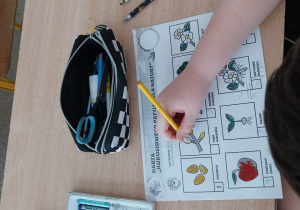 Uczennica wykonuje kartę pracy