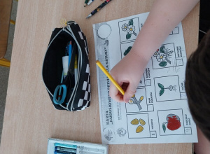 Uczniowie klas 2 a i 3 a odkrywają tajemnice zielonej energii i świata zapylaczy.