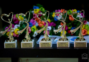 Statuetki - nagrody dla laureatów I miejsc w VII Powiatowym Konkursie 