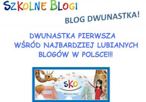Dwunastka pierwsza wśród najbardziej lubianych blogów w Polsce