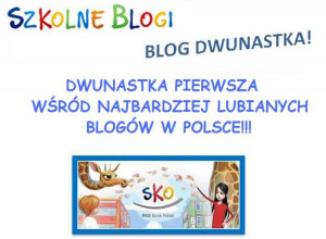 Dwunastka pierwsza wśród najbardziej lubianych blogów w Polsce