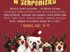Mikołajkowy Dzień Otwarty w Schronisku Mikołajkowy Dzień Otwarty w Schronisku