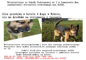 Wirtualna adopcja zwierząt - plakat